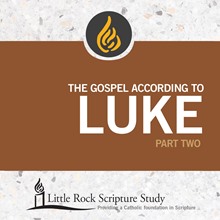 The Gospel According To Luke, Part Two - DVD: : Lecturers: Dan ...