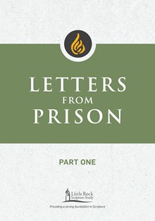 pinstriped prison ebook
