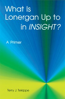 What is Lonergan Up to in Insight?